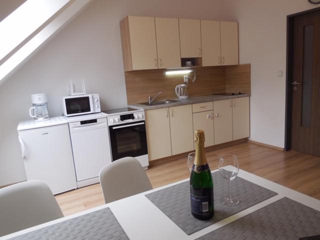 Apartmán Kamenice Kamenice nad Lipou Exterior foto