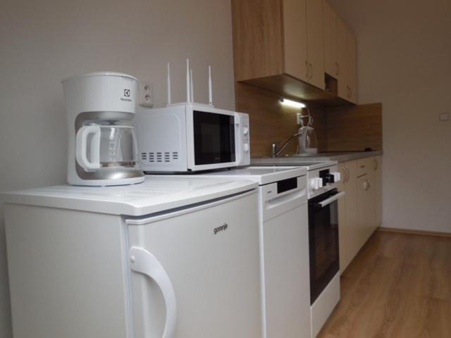 Apartmán Kamenice Kamenice nad Lipou Exterior foto